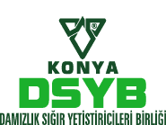 Konya DSYB Logo